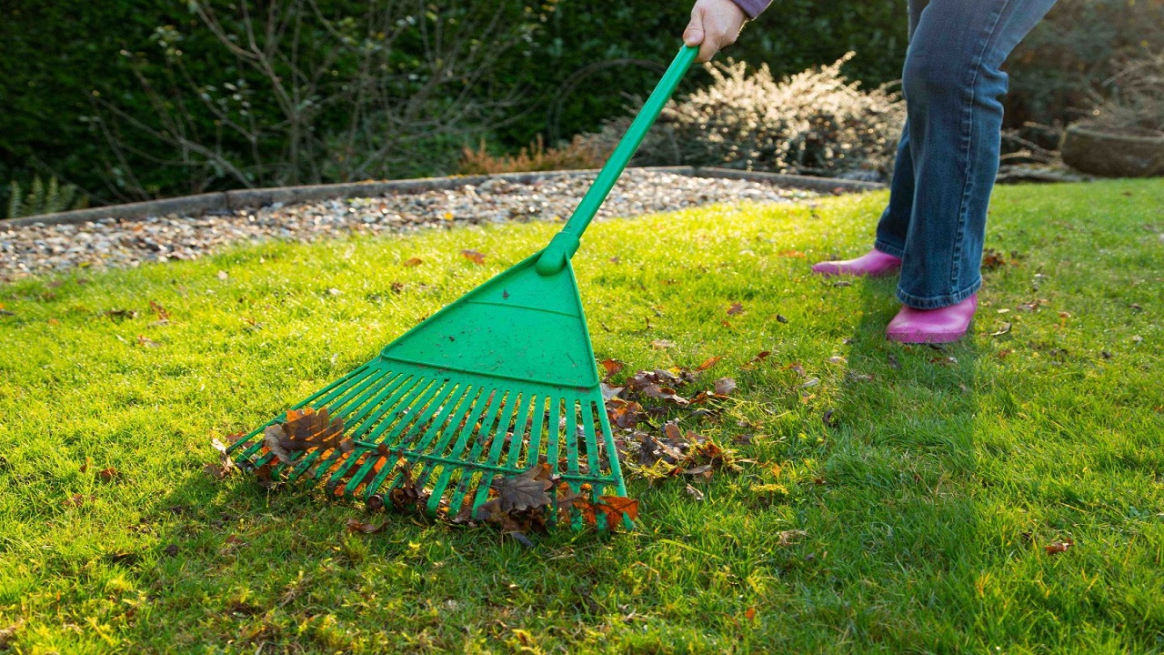 The Different Strategies Used by Manufacturers in Making Modern Garden Rakes